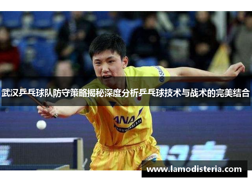 武汉乒乓球队防守策略揭秘深度分析乒乓球技术与战术的完美结合