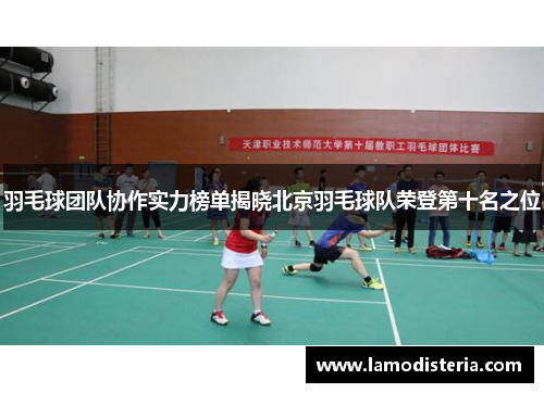 羽毛球团队协作实力榜单揭晓北京羽毛球队荣登第十名之位