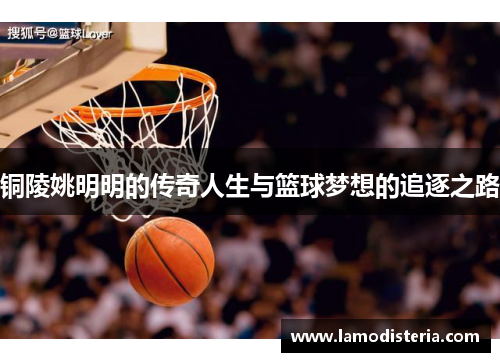 铜陵姚明明的传奇人生与篮球梦想的追逐之路