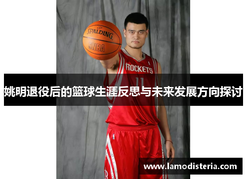 姚明退役后的篮球生涯反思与未来发展方向探讨